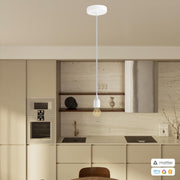 PENDEL CONFIG MATTER 12308