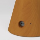 Tragbare, wiederaufladbare LED Leuchte Cabless01 mit Globe Glühbirne G125