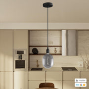 PENDEL CONFIG MATTER 11444