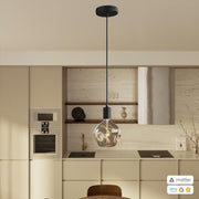 PENDEL CONFIG MATTER 11679