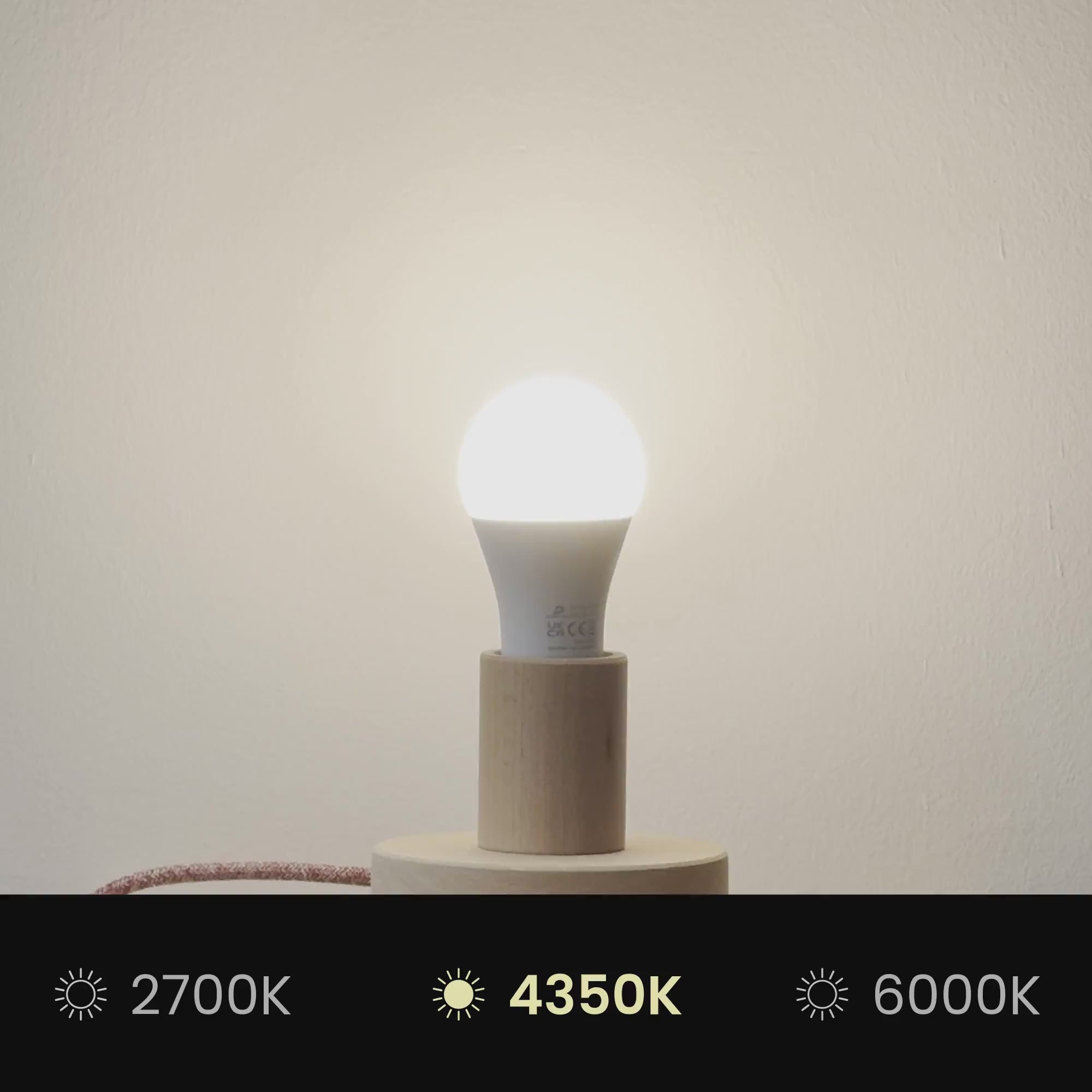 Video laden: Lampenschirm Impero L für Tischlampe oder Wandleuchte mit E27-Fassung – Made in Italy – Teletta Lila